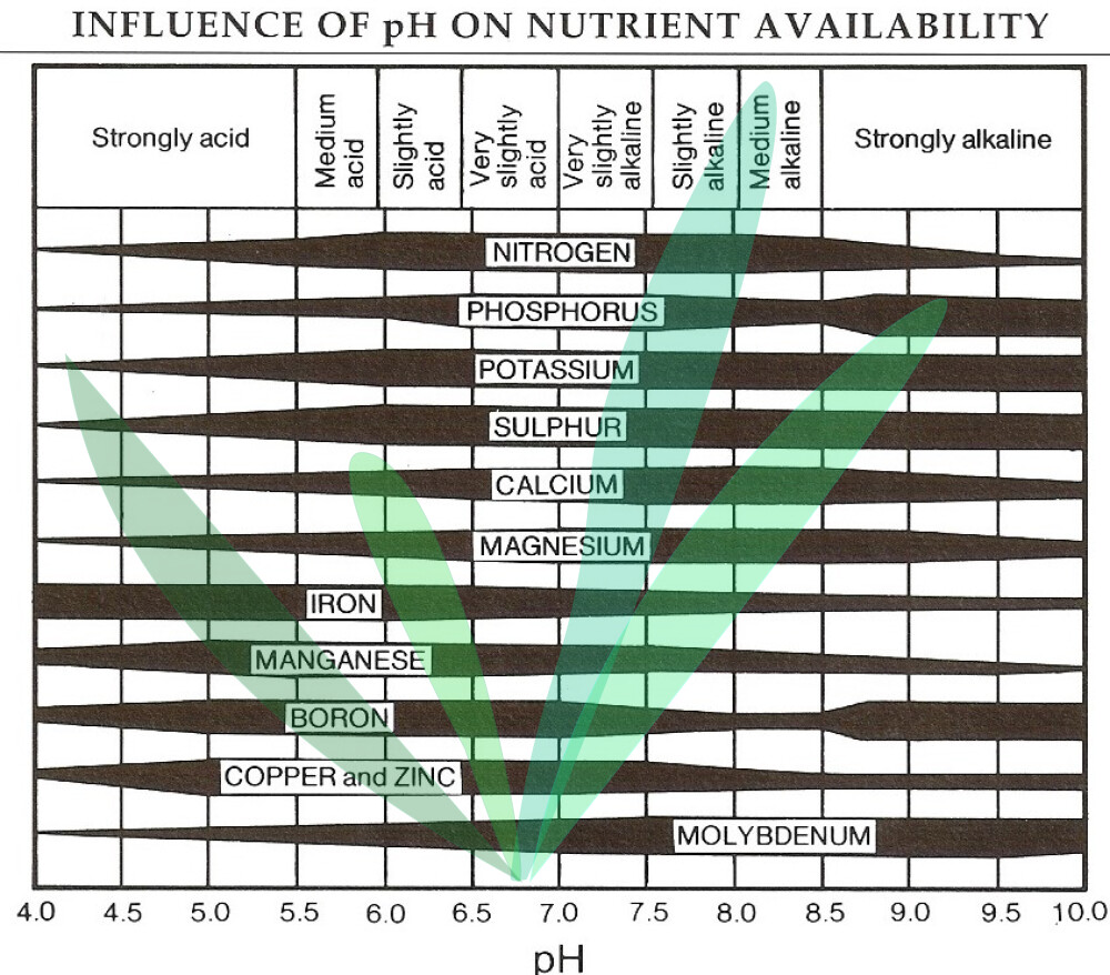 Influence of pH on Nutrient Availability 3
